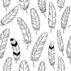 Feathers: A seamless pattern of various elegant feathers, in a detailed, black and white botanical illustration style.