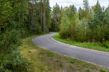 Curved asphalt road winding through dense green forest in Latvia, peaceful countryside travel background with pine and birch trees