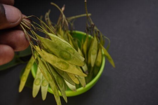 Sisam leaf, fruits, seeds, and juice offer natural health benefits, rich nutrition, medicinal uses, and traditional Ayurvedic healing properties