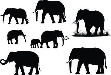 Collection of Elephant Silhouettes with Calves and Grass Elements – Vector Wildlife Scene for Safari, Jungle, Nature, and Animal Conservation Concepts