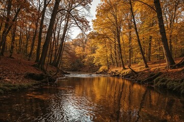 Fototapeta premium Autumn sunlight filtering through forest trees over a flowing river scene
