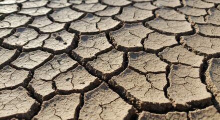 Cracked earth texture background