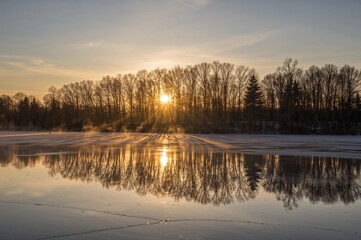 Fototapeta premium Beautiful golden sunrise mirrored on a lake with ice patches and tree silhouettes nearby