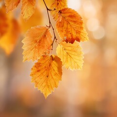 Obraz premium Close-up of golden autumn leaves. Natural background