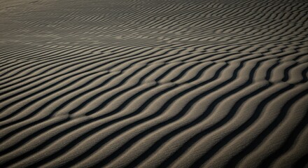 Obraz premium Desert sand ripples closeup pattern