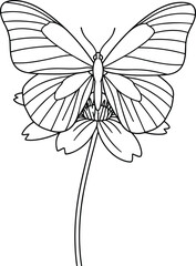 Butterfly: A simple line art illustration of a butterfly sitting on a flower, symbolizing nature, growth, and transformation.