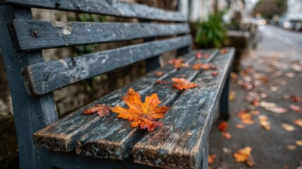 Aged wooden park bench, autumn leaves