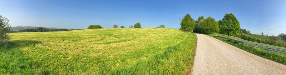 Panoramic view of green fields with a road under a clear blue sky