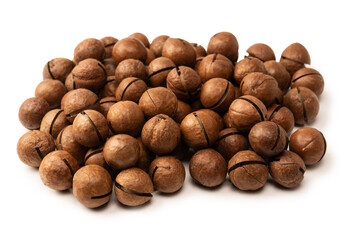 Macadamia nuts in a shell isolated on a white background.