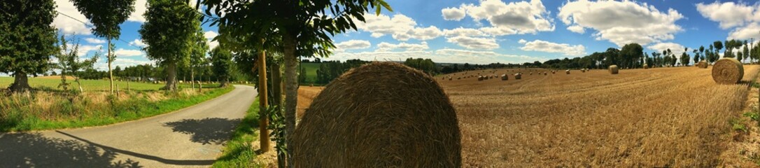 Panoramic view of a rural field with hay bales under a blue sky