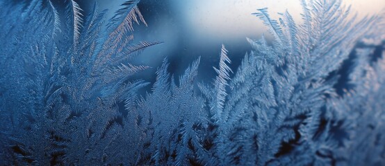 Frost patterns cover a window on a cold morning