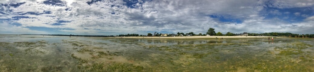 Panoramic view of a coastal landscape during low tide with scenic greenery