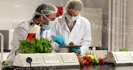 Animation of mathematical formulas over students using computers - Powered by Adobe