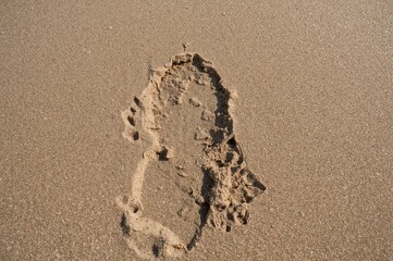 Footprint of a shoe on the shore's sand