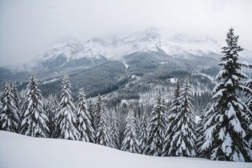 Fototapeta premium Stunning snowy landscape with breathtaking mountain views on a chilly day at the ski area. Gorgeous winter backgrounds to explore nature's wonders. Festive holiday backdrop, sky, adventure, nature