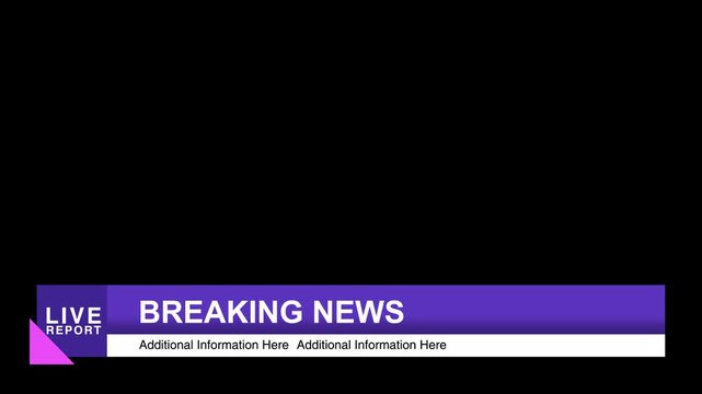 Elegant Professional Breaking News Lower Third