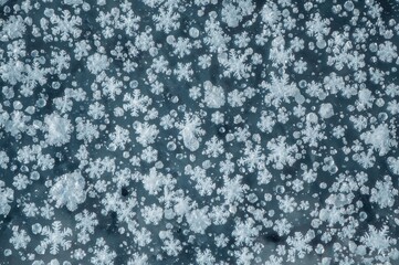 Meteorology: Tapioca snow and graupel, fluffy powder snow with large, dense flakes between snow and hail in density. Springtime snowfall