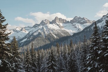Fototapeta premium Snow-clad peaks and evergreen forests