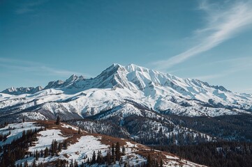 Obraz premium Peak within the Absoraka Mountains