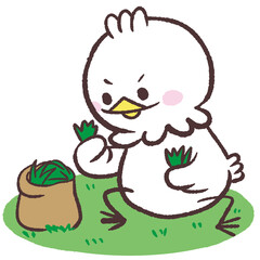 草をむしる白い鳥のイラスト