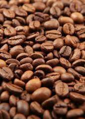 coffee beans on a colored background. Place to insert text, minimalism. Vertical photo format