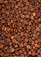 coffee beans on a colored background. Place to insert text, minimalism. Vertical photo format