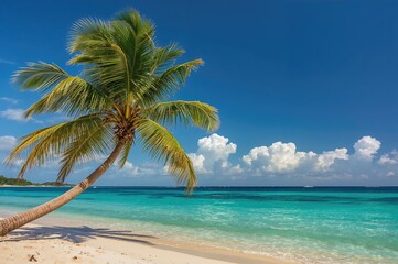 Charming palm silhouetted by a bright blue sky