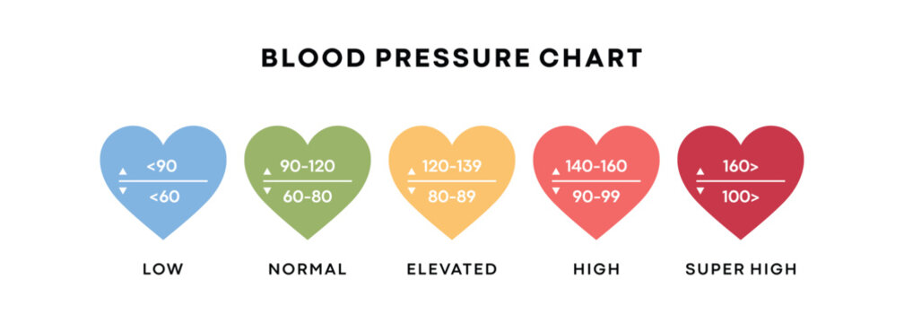 Blood pressure infographic. Vector flat illustration. Hypertension chart isolated on white background set. Heart shape with low, normal, high pressure diagram. Design for healthcare, cardiology. - Powered by Adobe
