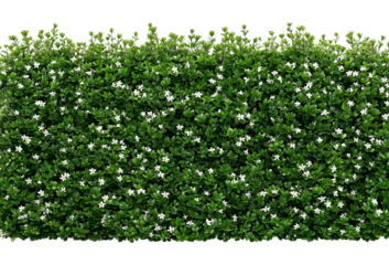 Beautiful Green Floral Wall Texture for Natural Background Decoration