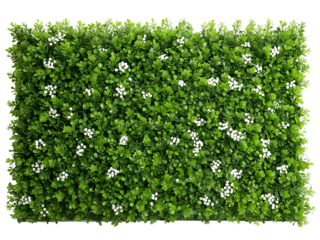 Beautiful Green Floral Wall Texture for Natural Background Decoration