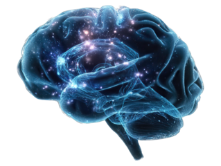Brain technology structure with active synapses concept. A glowing brain illustration showing neural connections and energy.