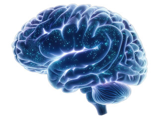 Obraz premium Brain technology structure with active synapses concept. A glowing brain illustration with vibrant neural connections.
