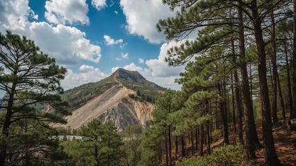 View from below of pine trees and a landslide beside a road with a mountain summit in the background