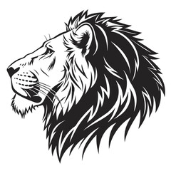 lion vector illustration