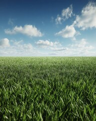 Lush green grass field under a bright blue sky with fluffy white clouds in a serene landscape nature photography