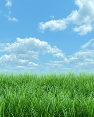 Obraz premium Lush green grass under a bright blue sky with fluffy white clouds scenic landscape nature photography