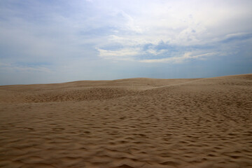 Sand dunes under blue skies, background, migrating coastal dune Råbjerg Mile in the North of Denmark