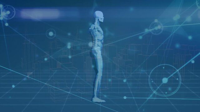 Animation of network of connections over human body model - Powered by Adobe