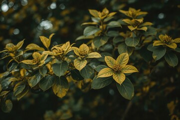 Steel amidst vibrant green and yellow forest foliage