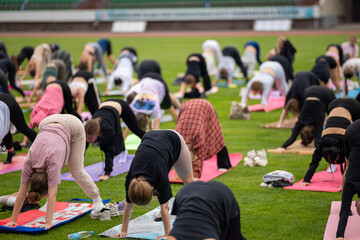 Group yoga session on stadium lawn in FYSM style