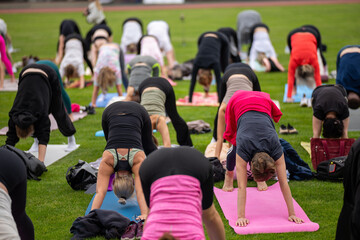 Obraz premium Group yoga session on stadium lawn in FYSM style