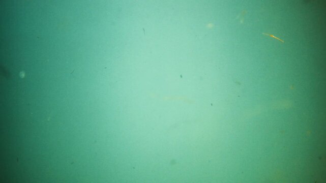 A blurry image of a green background with a yellow object in the middle. Scene is somewhat mysterious and unclear