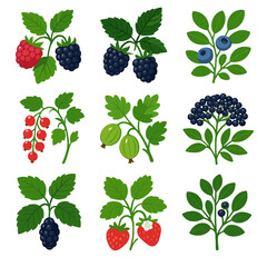 Berry blueberry chokeberry icon red gooseberry bush brambles vector juicy sprigs elderberry