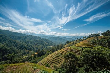 Terraced Rice Fields: A Natural Marvel of the Planet