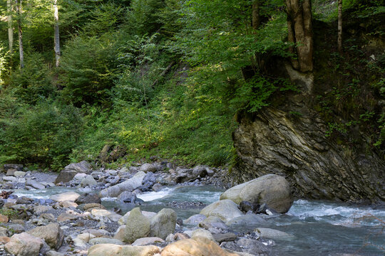 mountain river Samina in the forest in a riverbed with rocks and trees on both sides towrds blue sky in Saminatal in Vorarlberg Austria