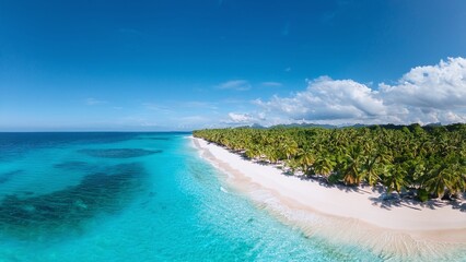 Aerial Beach View of Tropical Island with Blue Ocean