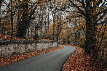Fototapeta premium Path winding through an old, leafy burial ground in various seasons