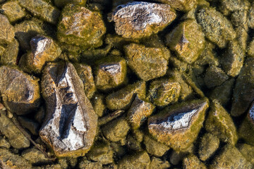Stones in shallow water under ice on a frozen lake