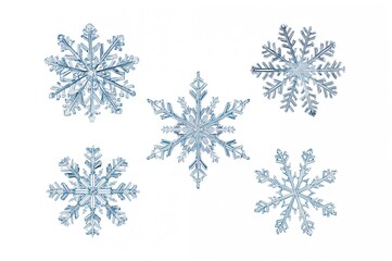 Four isolated snowflakes on a white backdrop. Close-up shot of genuine snow crystals featuring intricate, ornate stellar dendrites with a glossy textured surface, hexagonal pattern, and delicate
