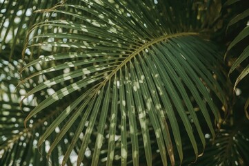 Tropical foliage with a vibrant palm design